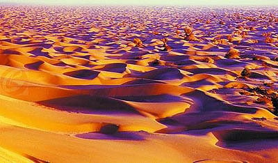 Такла-Макан - заманчивая и таинственная пустыня - &copy;Жэньминь Жибао