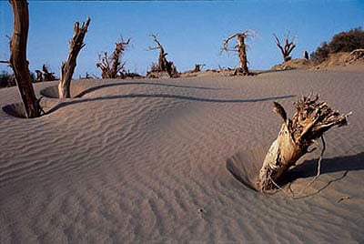 Такла-Макан - заманчивая и таинственная пустыня - &copy;Жэньминь Жибао