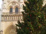 Рождественская елка в Париже