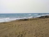 Пляж в Маспаломасе, Тенерифе