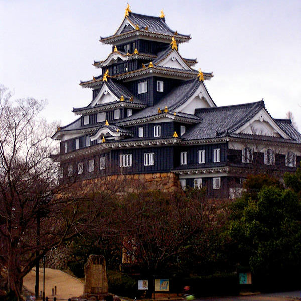 Сейчас в Японии осталось всего двенадцать замков / Фото из Японии