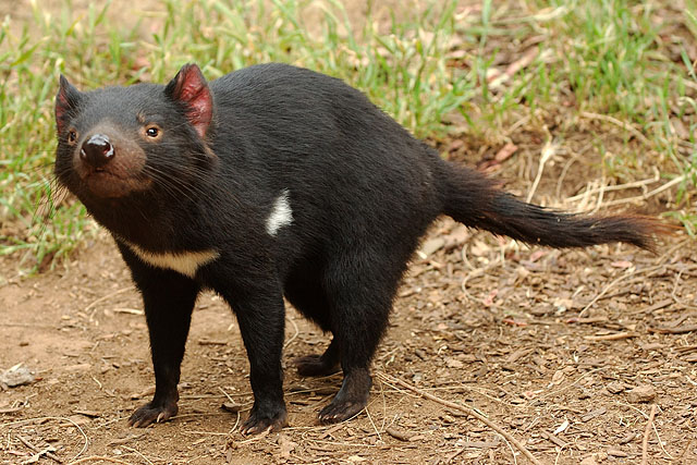 � ����� ....! / ���� �� ���������