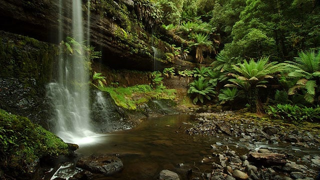 Russell Falls / Фото из Австралии