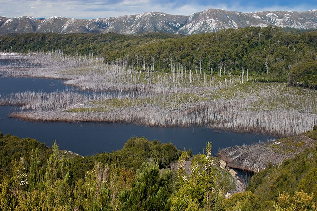 ����� ������ / ���� �� ���������