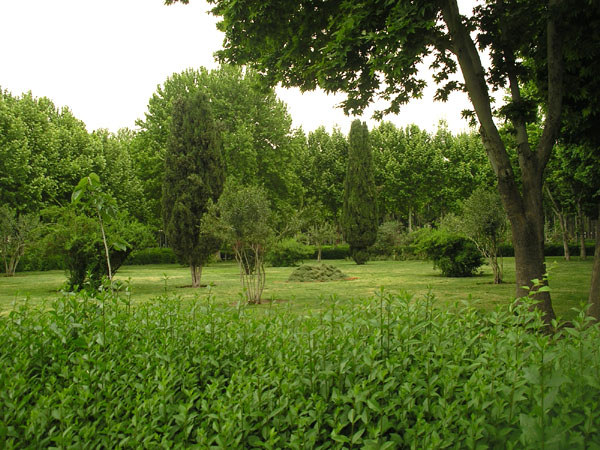 Парк во дворце Hasht Behesht / Фото из Иpана