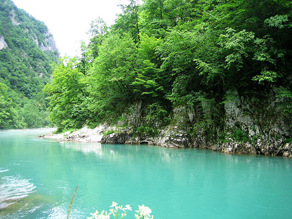 Река Тара / Фото из Черногории