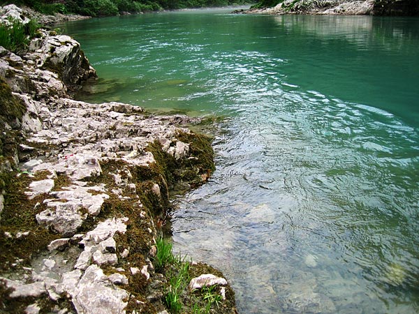 Прозрачная вода / Фото из Черногории