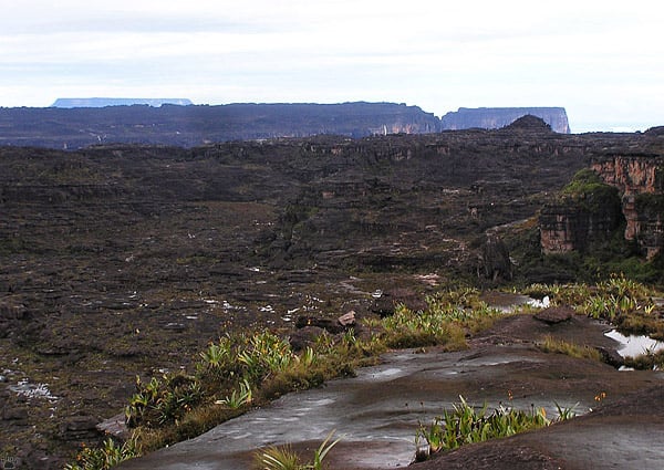 Черная поверхность плато Рорайма / Фото из Венесуэлы