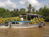 Путь кокосов / Вьетнам