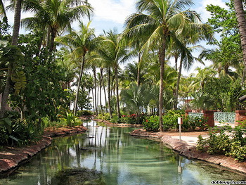 Пальмы, бассейны, и каналы / Багамские острова