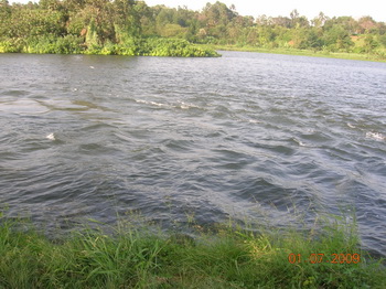 Водораздел Нила и оз.Виктория / Руанда