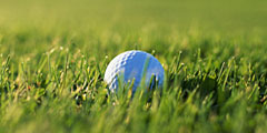 Лучшие поля для гольфа - на острове Принца Эдварда Golf1-vi_240x120