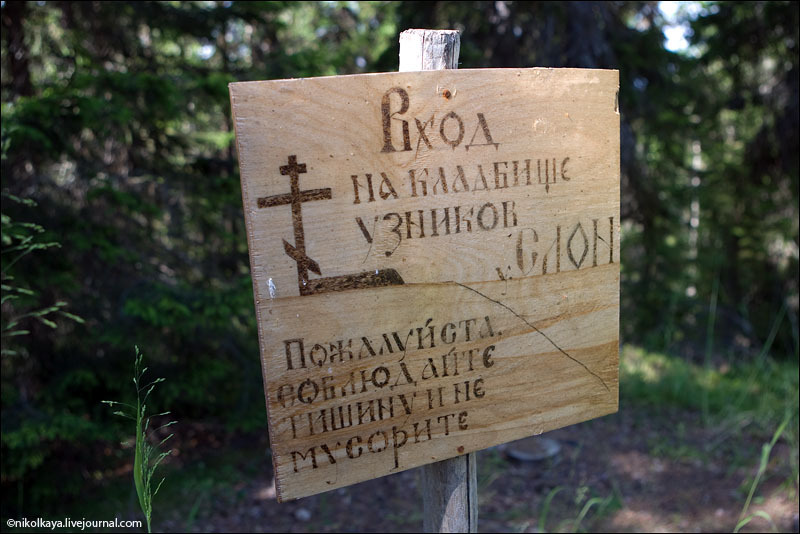 Кладбище узников СЛОН на Большом Соловецком острове / Фото из России