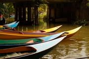 Лодки на баньяновой реке / Таиланд