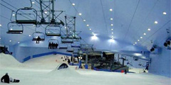 Ski Dubai -        . // theplaymania.com