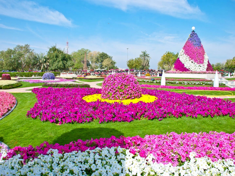 al_ain_paradise_4.jpg