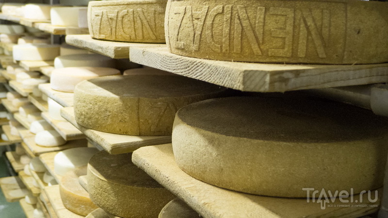 Ненда: как сыр в масле