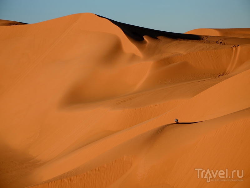 Пустынные ландшафты Алжира: оазисы, дюны и ксуры Сахары / Фото из Алжира