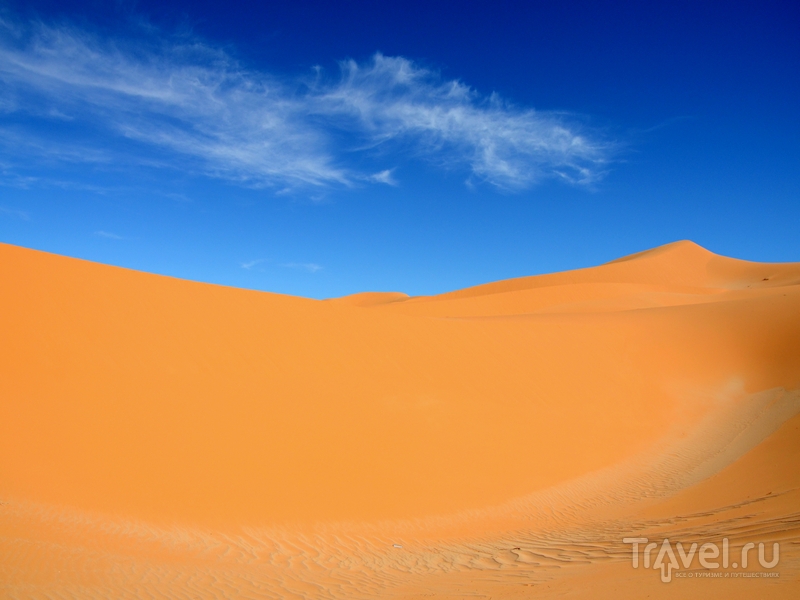 Пустынные ландшафты Алжира: оазисы, дюны и ксуры Сахары / Фото из Алжира