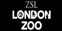Посетители зоопарка понаблюдают за ночной жизнью животных. // zsl.org