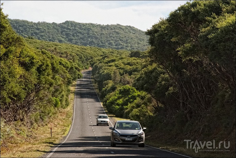 Австралийские дороги, сельская местность и дорожные знаки