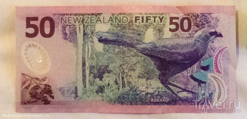 Новая Зеландия. Деньги