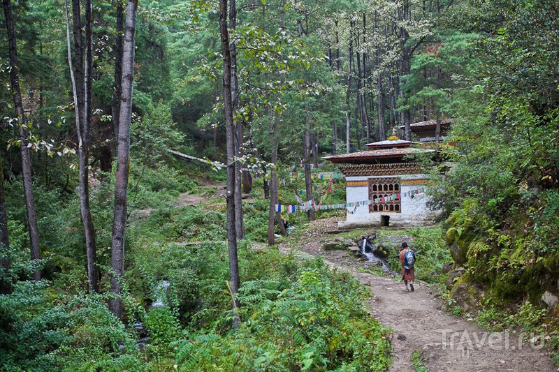 Бутан. Гнездо Тигрицы