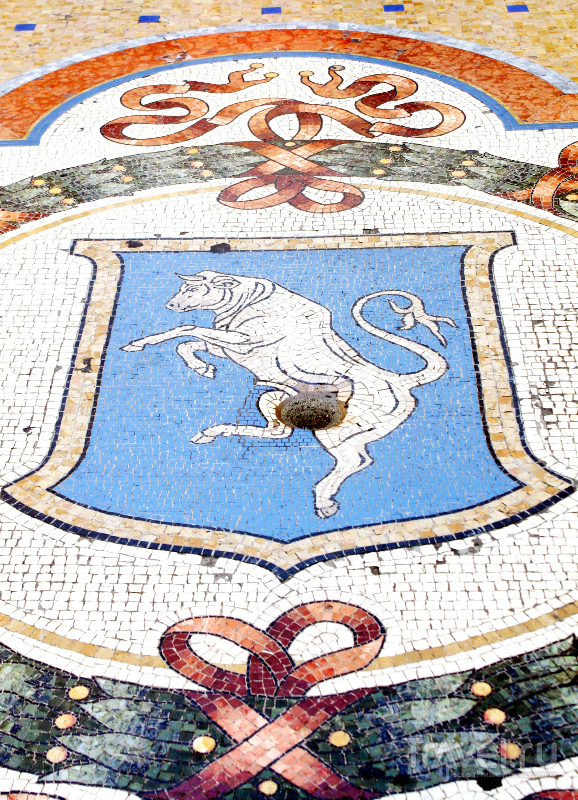 Любители загадывать желания повредили мозаику с гербом Турина