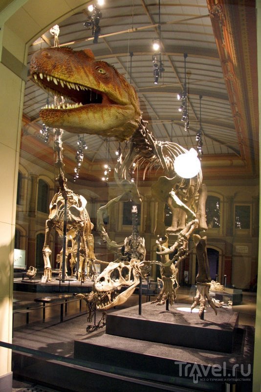 В 39 залах музея представлены редкие и удивительные экспонаты