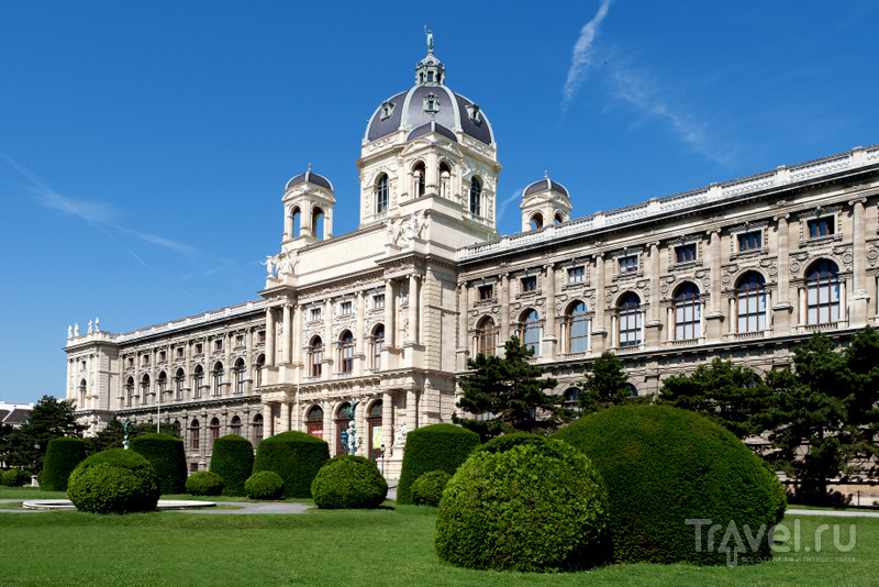 Музей естествознания в Вене открыл свои двери для публики в 1889 году