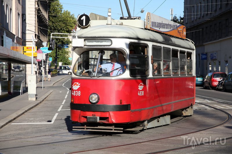 Трамвай - один из главных видов транспорта в Вене