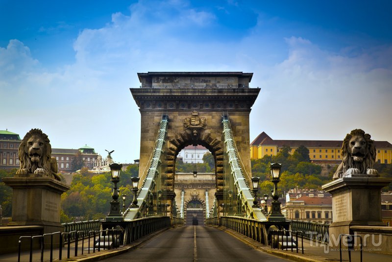 Цепной мост Будапешта украшают скульптуры львов