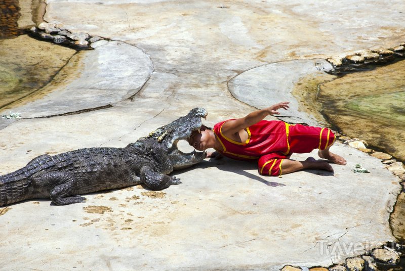 Из крокодилов делают сумки и кошельки, которые туристы покупают с большим удовольствием