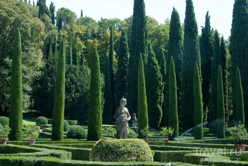 Кипарисы в саду Джусти произвели в свое время большое впечатление на прогуливавшегося здесь Гете