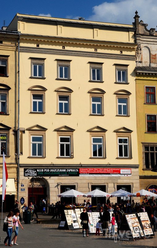 Дом под ящерицей, где теперь располагается старейшее в Кракове студенческое общество "Под ящурами"