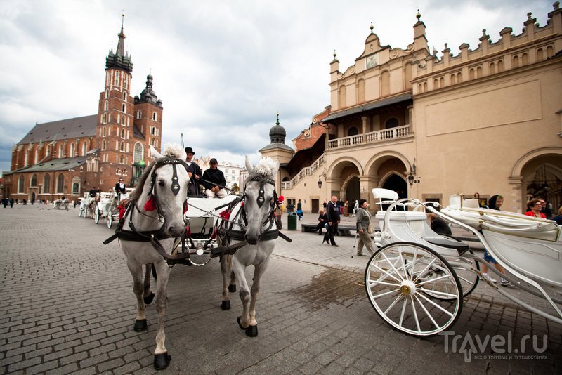 Прогулки по Старому Городу Кракова в каретах пользуются у туристов неизменной популярностью