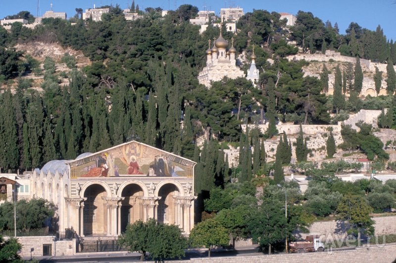 Вид на Церковь всех наций (внизу) и православную церковь Святой Марии Магдалины (вверху).
