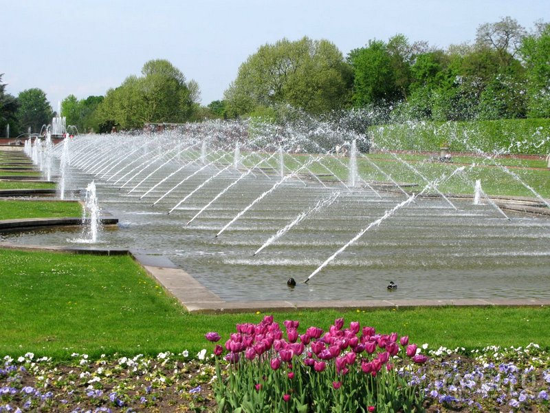 В Норд Парке можно полюбоваться прекрасными цветниками и фонтанами.
