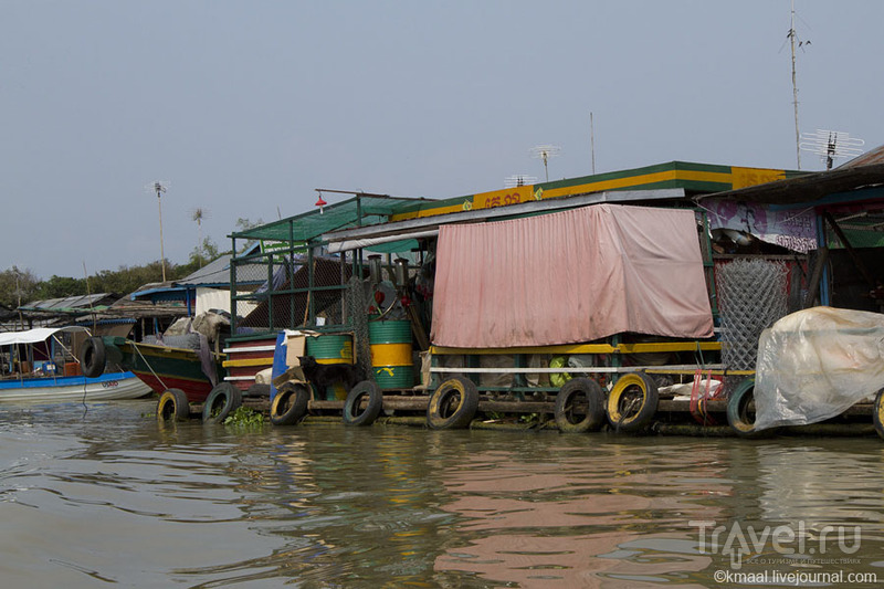В плавучем селе Прек-Тоал. Камбоджа / Камбоджа