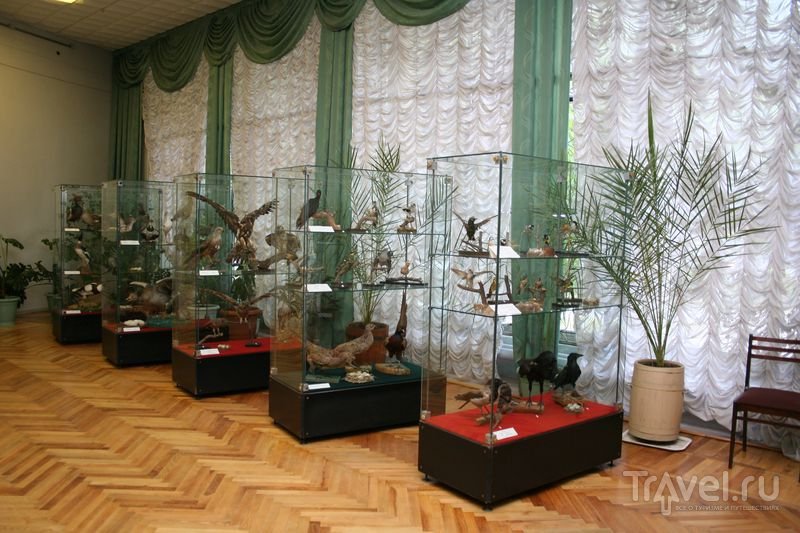 На выставке «Природа новороссийского района. Охрана окружающей среды»
