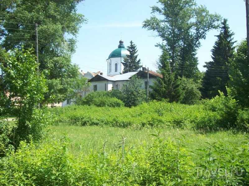 Вид на Толшевский монастырь