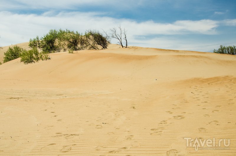 Песчаные дюны - главное украшение пляжей Анапы