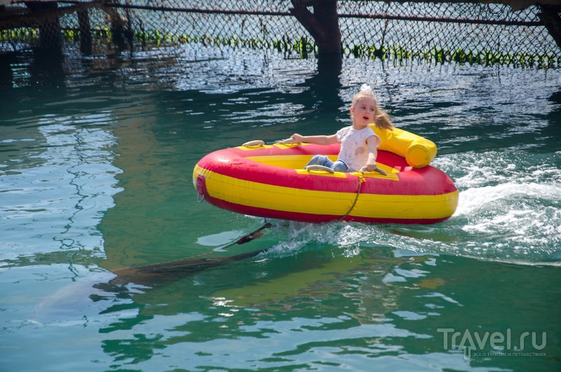 Дополнительная услуга для детей - катание на надувной лодке, которую везет дельфин