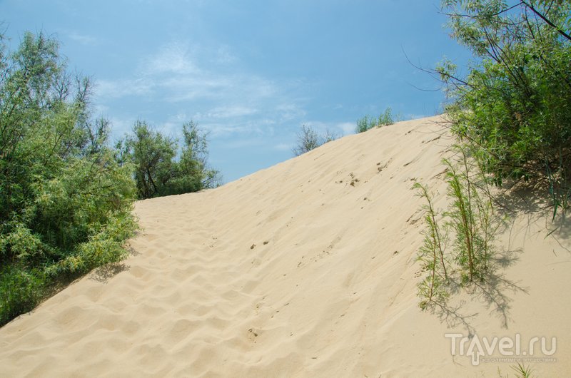 Путь к морю часто лежит через песчаные дюны