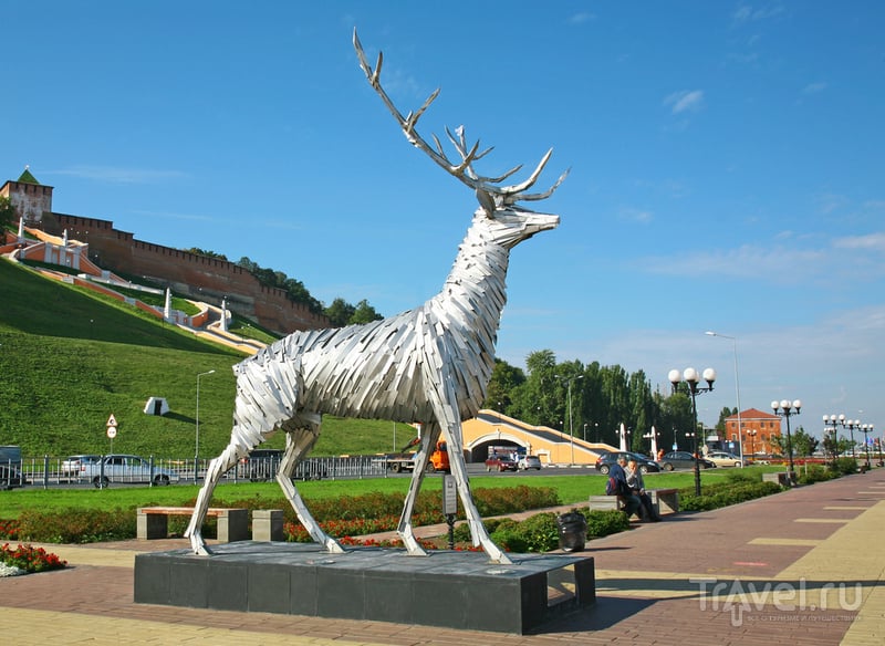 Олень - эмблема Нижнего Новгорода