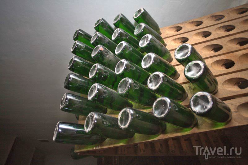 Производство вин на АПК "Геленджик"