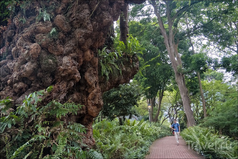 Прогулки по Сингапуру: Fort Canning Park / Сингапур