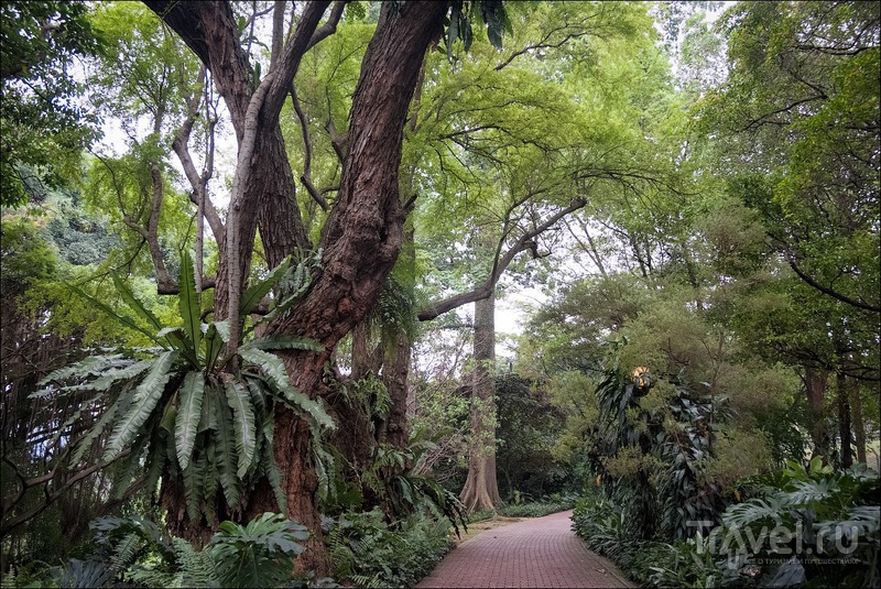 Прогулки по Сингапуру: Fort Canning Park / Сингапур