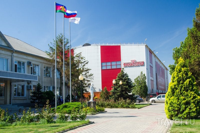 Завод "Фанагория" входит в число крупнейших производителей вина в России