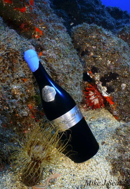 Винодельня под водой